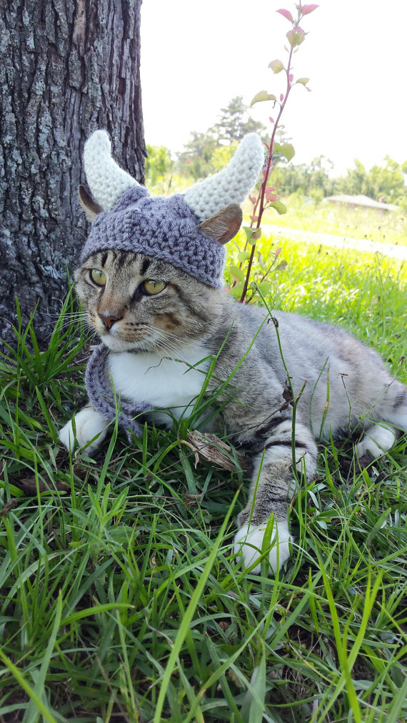 Americana faz chapéus, toucas e boinas de crochê para cães e gatos