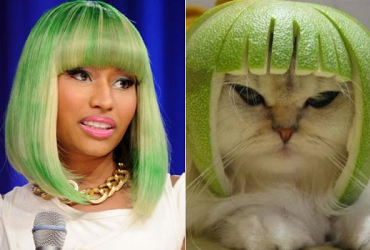 Nicki Minaj de novo e um gato com casca de limão na cabeça