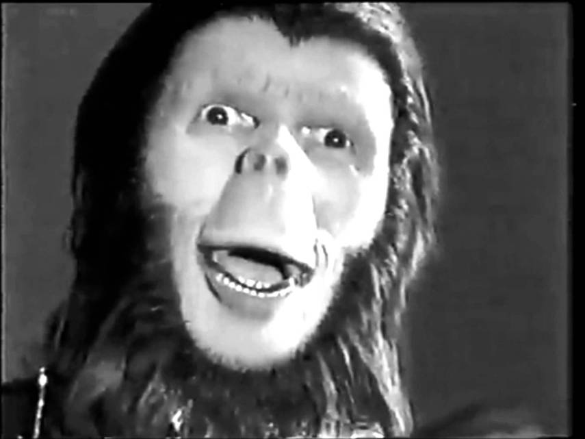 ... e o do malandro <b>Macaco Charles</b>