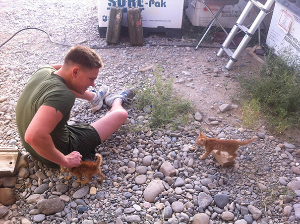 Soldado posa com gato durante a guerra