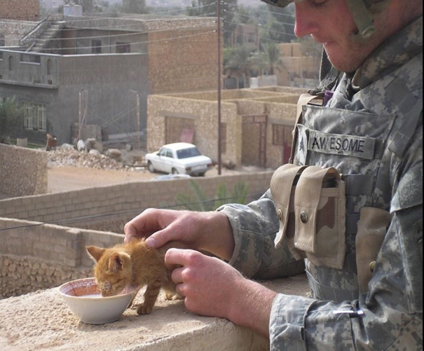 Soldado posa com gato durante a guerra