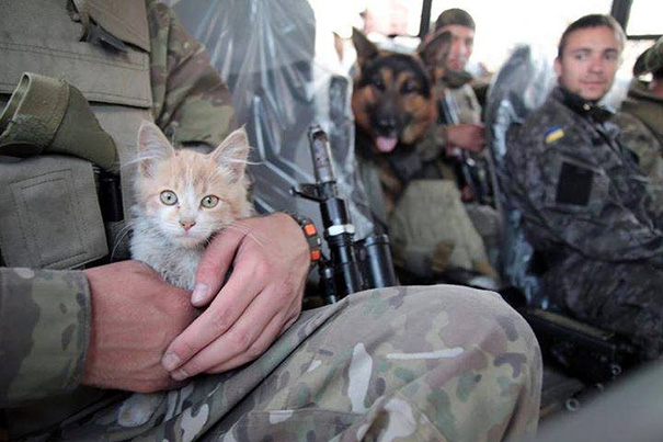 Soldado posa com gato durante a guerra