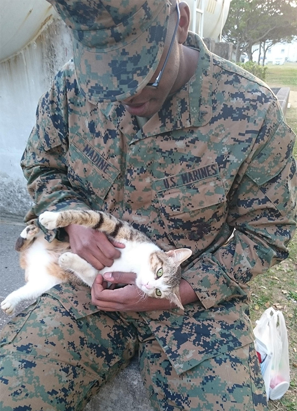 Soldado posa com gato durante a guerra