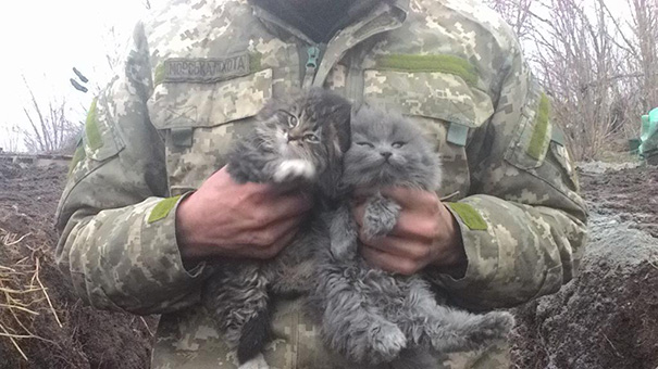 Soldado posa com gato durante a guerra