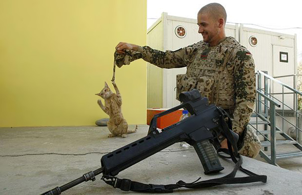 Soldado posa com gato durante a guerra