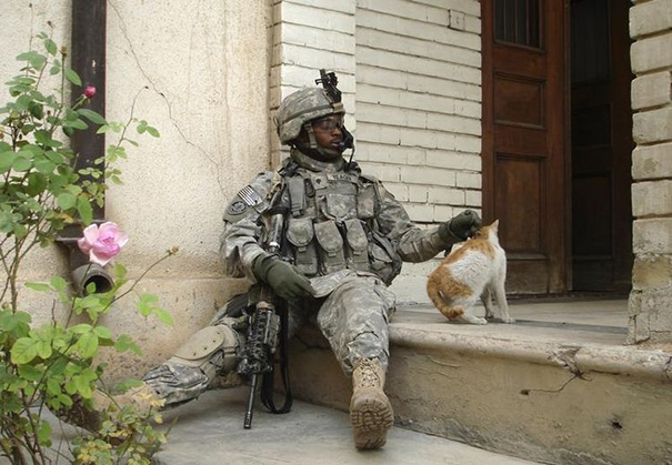 Soldado posa com gato durante a guerra