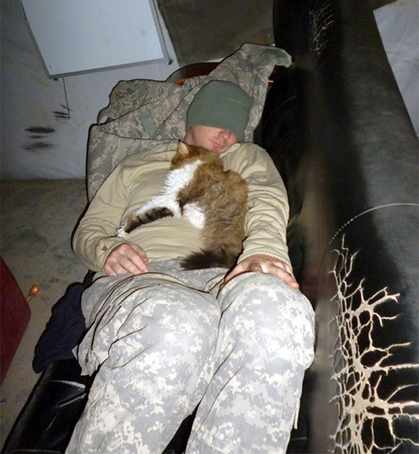 Soldado posa com gato durante a guerra