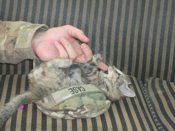 Soldado posa com gato durante a guerra