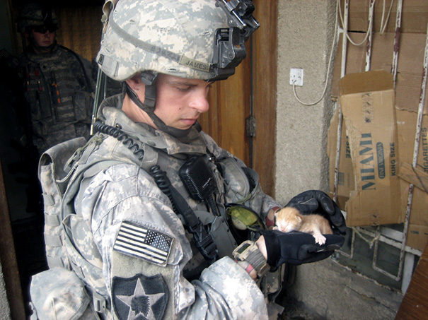 Soldado posa com gato durante a guerra