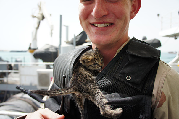 Soldado posa com gato durante a guerra