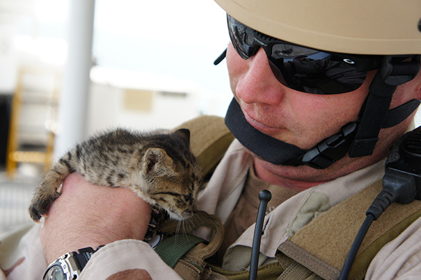 Soldado posa com gato durante a guerra