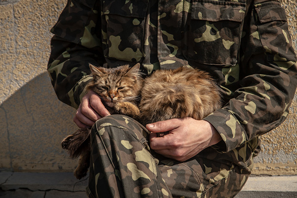 Soldado posa com gato durante a guerra