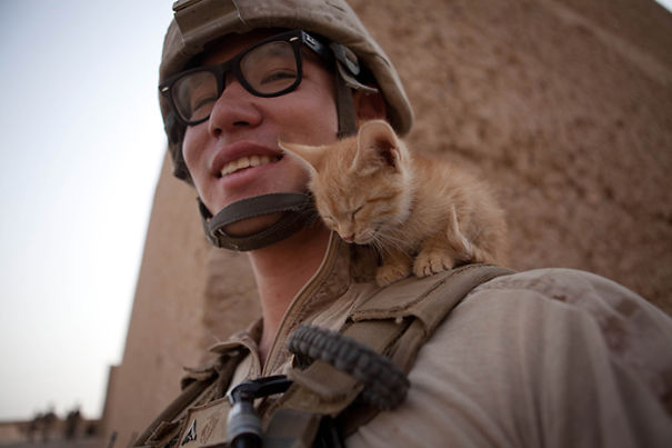 Soldado posa com gato durante a guerra