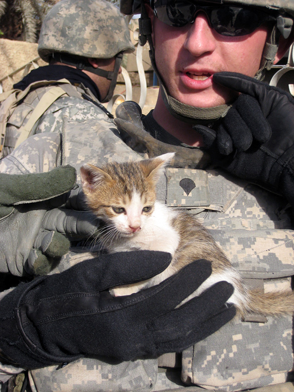 Soldado posa com gato durante a guerra