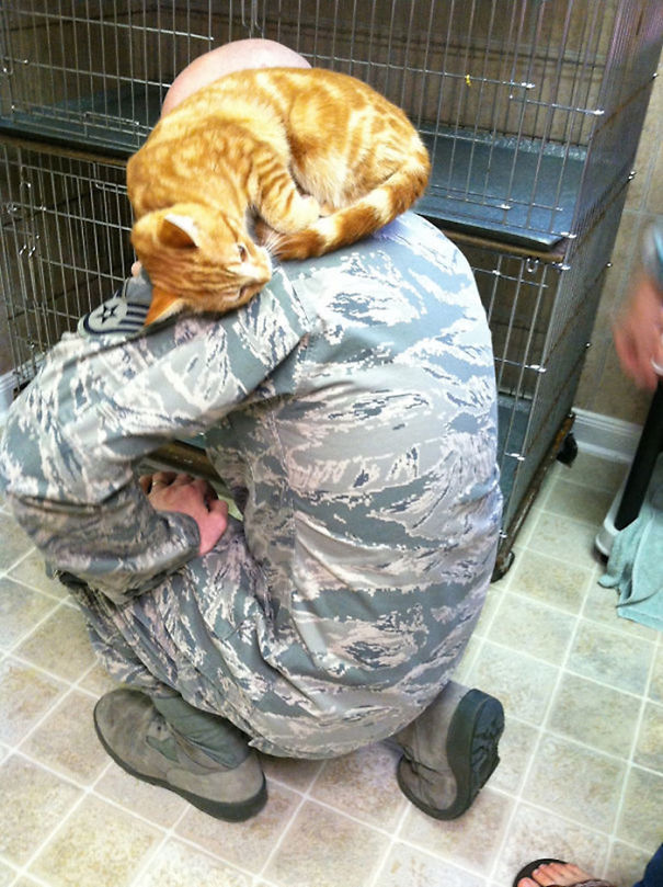 Soldado posa com gato durante a guerra