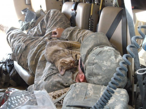 Soldado posa com gato durante a guerra