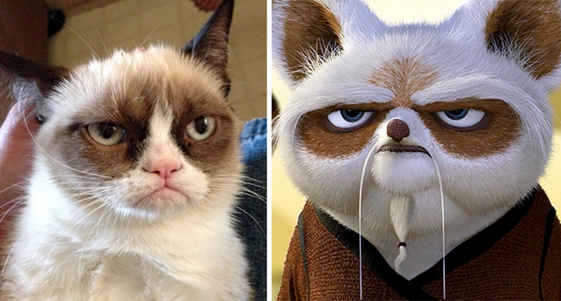Grumpy Cat e o mestre Shifu, de Kung Fu Panda