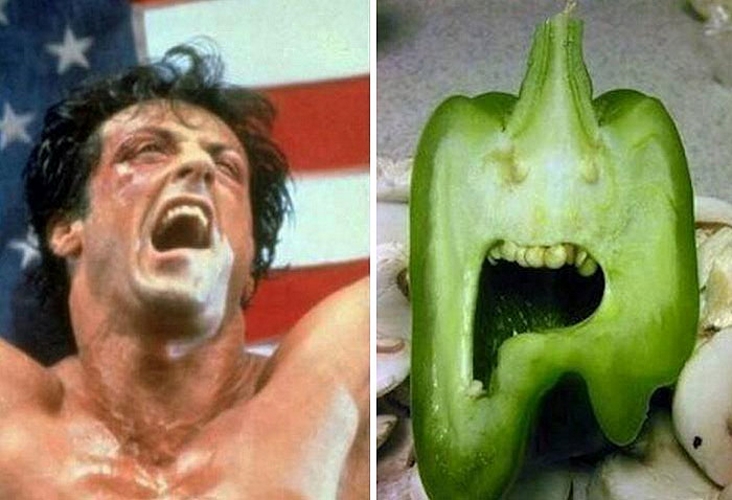 Rocky Balboa e um pimentão de boa