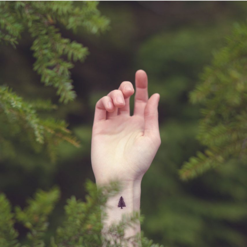 Fotógrafo cria planos de fundo inteligentes para pequenas tatuagens