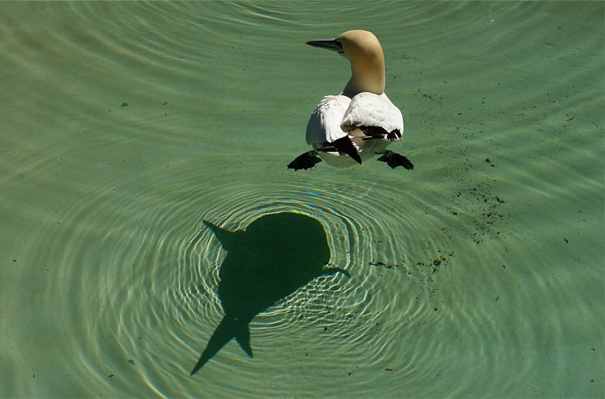 O corte da foto faz a gente pensar que é outra coisa. olha só!