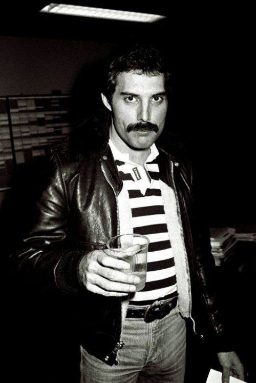 Freddie Mercury