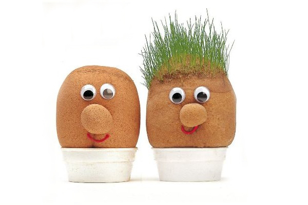 O brinquedo educativo sobre plantar e cuidar do meio ambiente