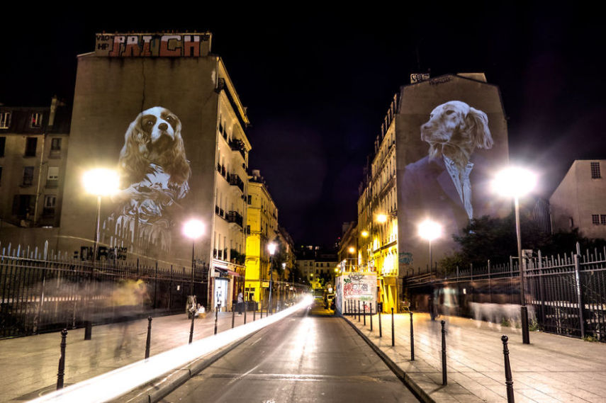 Fotógrafo oferece noite de Safari aos parisienses