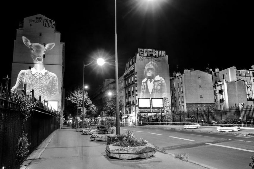 Fotógrafo oferece noite de Safari aos parisienses