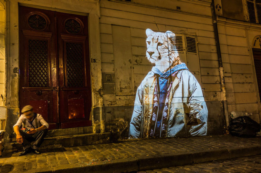 Fotógrafo oferece noite de Safari aos parisienses