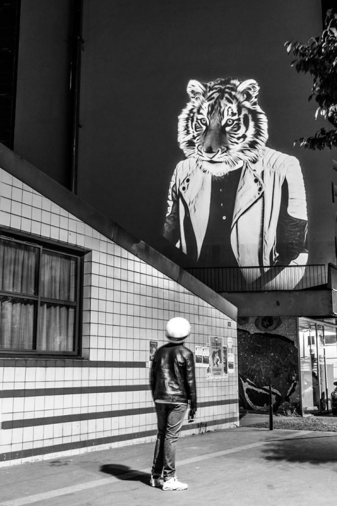 Fotógrafo oferece noite de Safari aos parisienses