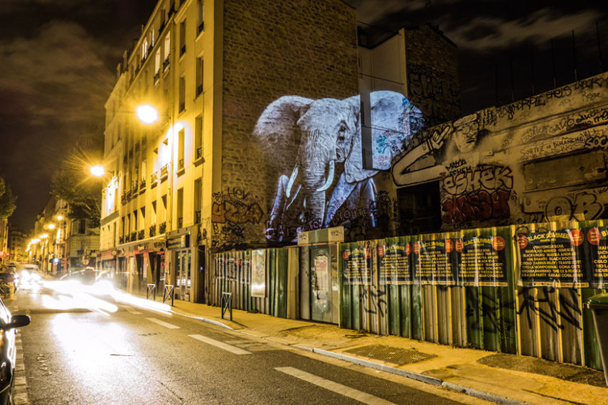 Fotógrafo oferece noite de Safari aos parisienses