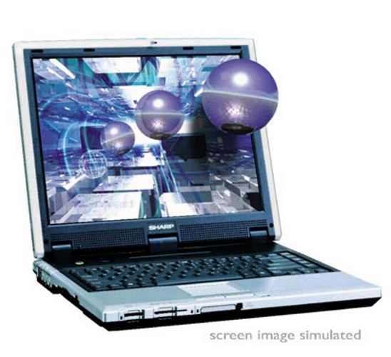 Era para ser o primeiro notebook do mundo em que você poderia ver conteúdo 3D sem ter de usar óculos especiais. O problema era que as imagens davam uma baita dor de cabeça