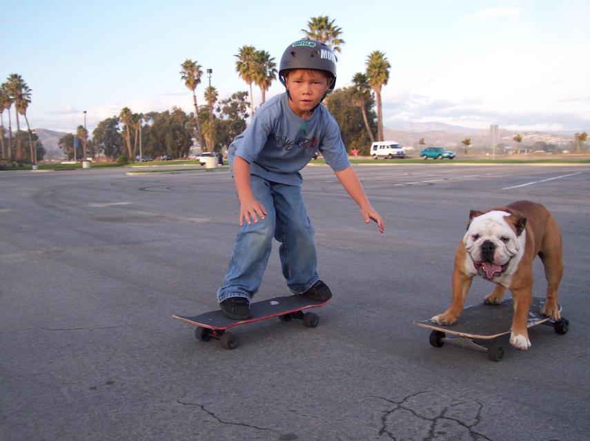 Buldogue ganhou um espacinho no Guinness Book por ser o cão mais rápido no skate; ele também curtia surfe e snowboard