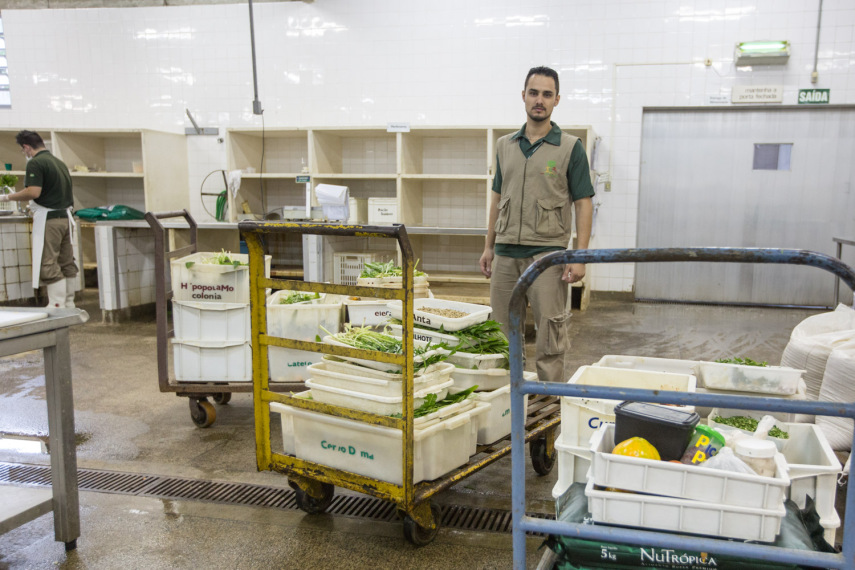 A alimentação dos animais prontas para serem entregues aos tratadores