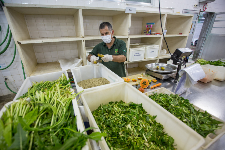 A quantidade certa dos alimentos certos garantem uma dieta saudável aos animais