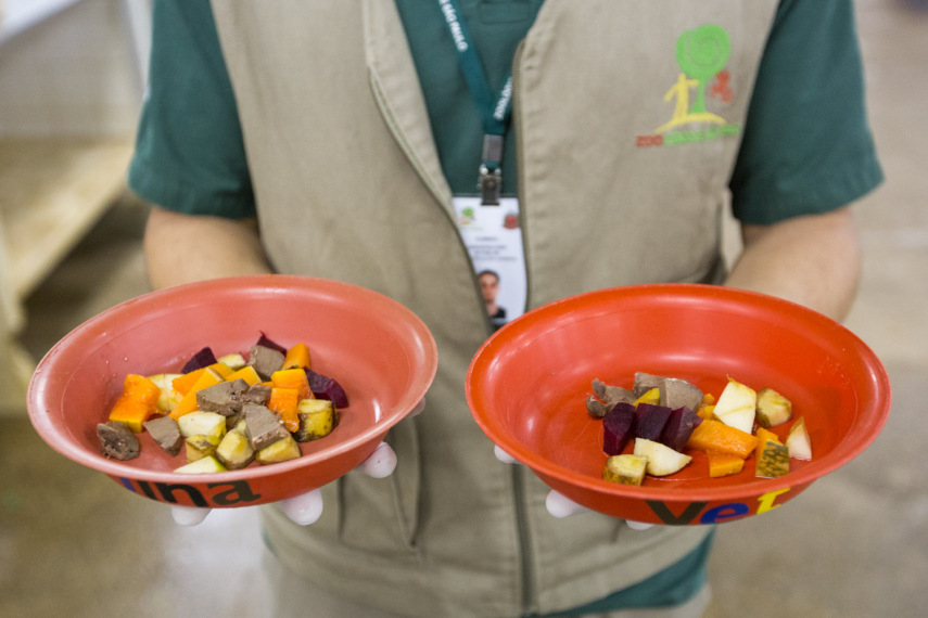 Carnes com beterraba, abóbora e frutas