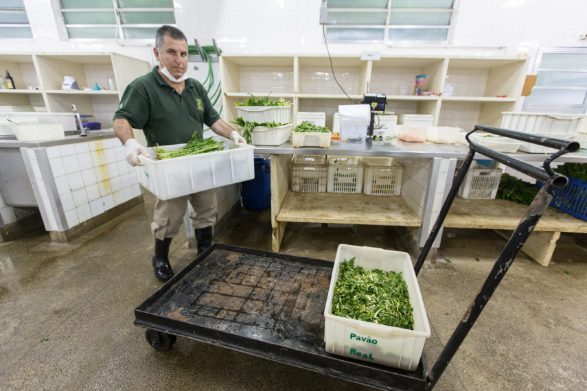 A alimentação dos animais prontas para serem entregues aos tratadores