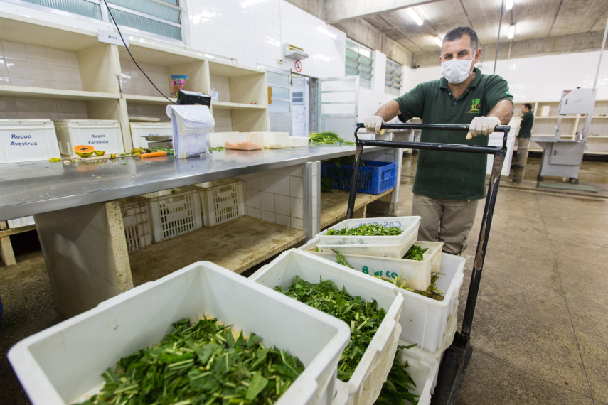 A alimentação dos animais prontas para serem entregues aos tratadores