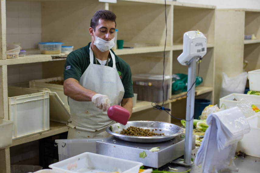 Tudo é cuidadosamente pesado para garantir que a dieta funcione