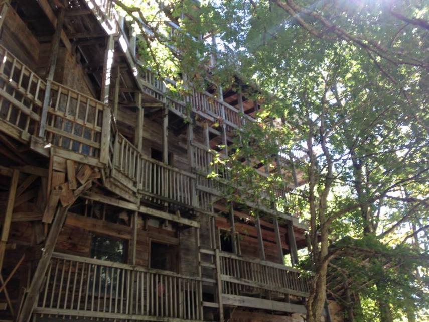Horace Burgess passou 15 anos construindo sua casa na árvore, que recebia cultos