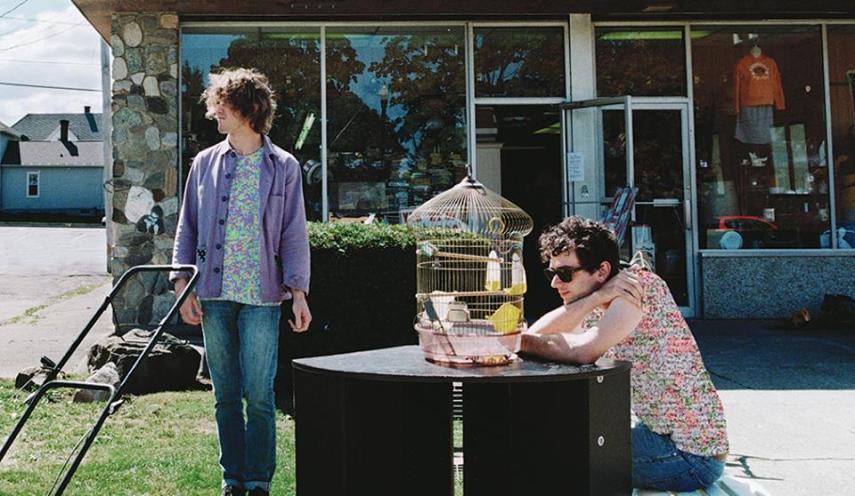 MGMT, entre US$ 150 mil  (R$ 586 mil) e US$ 249.999 (R$ 976 mil).