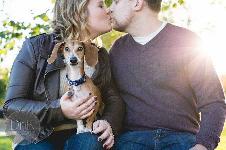 O dachshund ciumento roubou a cena nas fotos de noivado de sua dona, Megan Determan