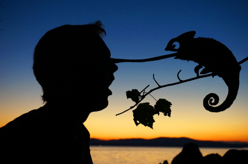 John Marshall recorta papelão para criar seus selfies de pôr do sol