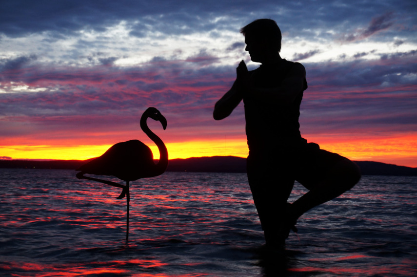 John Marshall recorta papelão para criar seus selfies de pôr do sol