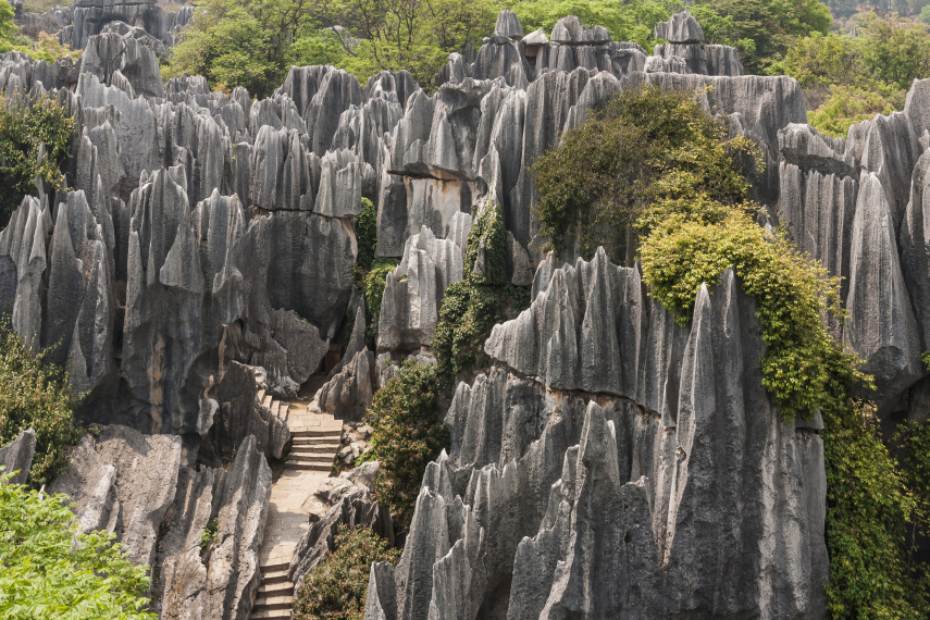 Essas estacas de pedra cobrem uma enorme área de 500 km², no condado de Shilin Yi. Há 270 milhões de anos, o local era um mar raso que acumulou grandes quantidades de arenito. Depois da elevação da área para fora d'água, o vento e a água corrente moldaram as 'árvores rochosas'