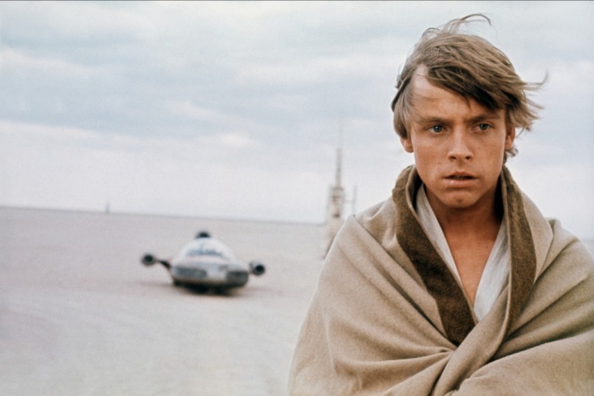 Nascido em 1951, o ator estreou na TV aos 19, em 1970, na série   Headmaster. Ao longo dos 70, fez milhares de séries e seriados. E   estreou no cinema em 1977, vivendo Luke Skywalker em Star Wars - Uma   Nova Esperança