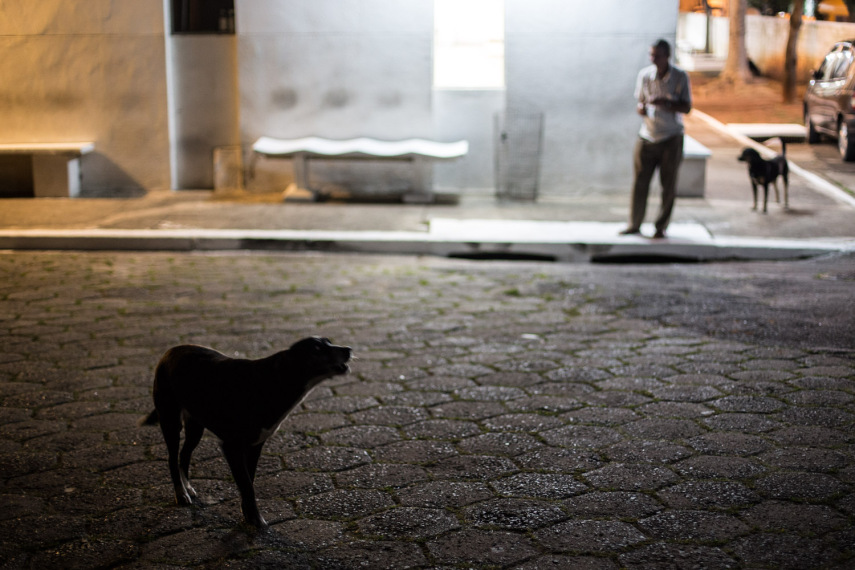 Ao chegar no local combinado, onde funciona o velório, fomos recepcionados por cães e pelo rapaz que toma conta do estacionamento. Não havia mais ninguém por lá