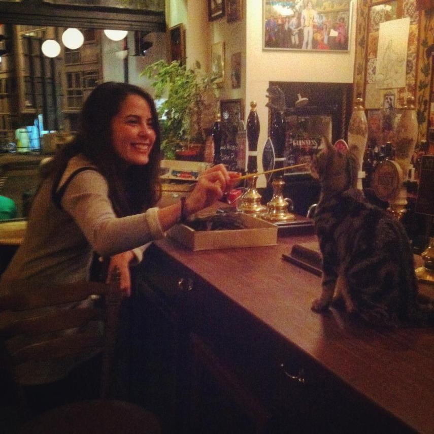 Clientes dividem espaço com gatos neste bar na Inglaterra