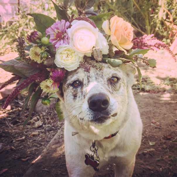 O artista e fazendeiro estadunidense põe flores na cabeça de amigos e desconhecidos para fotografá-los