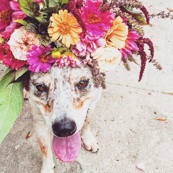 O artista e fazendeiro estadunidense põe flores na cabeça de amigos e desconhecidos para fotografá-los